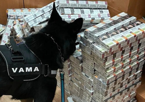 Contrabanda cu țigări din Moldova în România a scăzut ușor Contrabanda cu țigări din Moldova în România a scăzut ușor