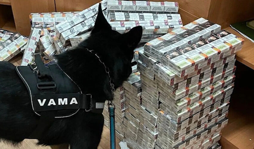 Контрабанда сигарет из Молдовы в Румынию немного уменьшилась