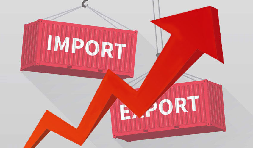 Moldovan economy’s dependence on imports grows
