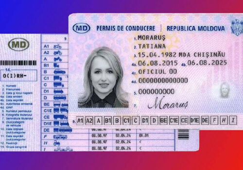 Înainte de deplasarea lui Sandu la Dublin, Cabinetul va analiza un acord cu Irlanda privind permisele de conducere Înainte de deplasarea lui Sandu la Dublin, Cabinetul va analiza un acord cu Irlanda privind permisele de conducere