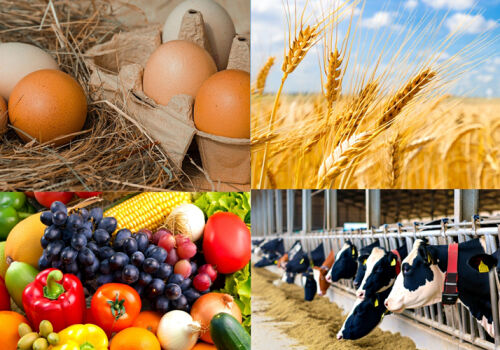 Wholesale prices for agricultural products increased in Moldova Wholesale prices for agricultural products increased in Moldova