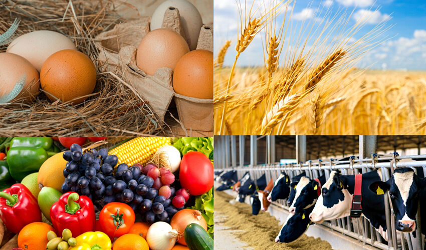 В Молдове повысились оптовые цены на сельхозпродукцию В Молдове повысились оптовые цены на сельхозпродукцию