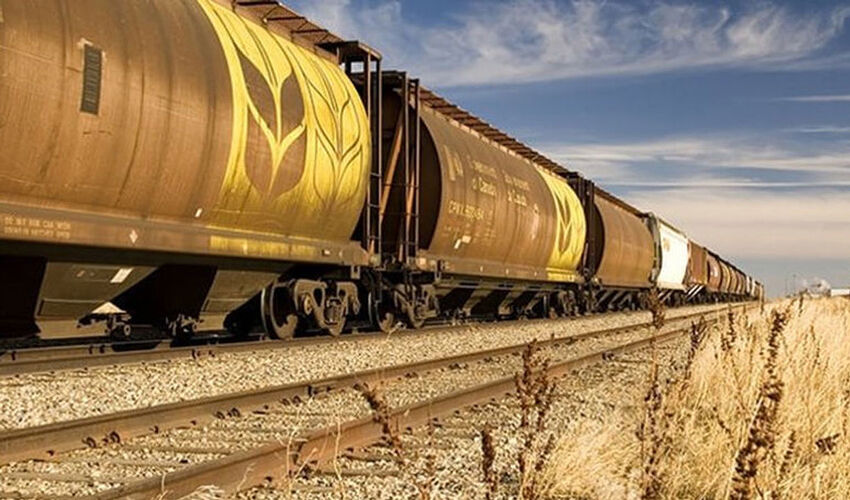 Noile tarife feroviare pentru transportul cerealelor vor cădea pe umerii agricultorilor Noile tarife feroviare pentru transportul cerealelor vor cădea pe umerii agricultorilor