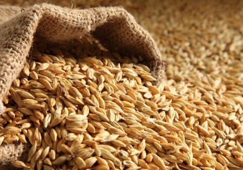 Цена пшеницы выросла: опять погода, опять война