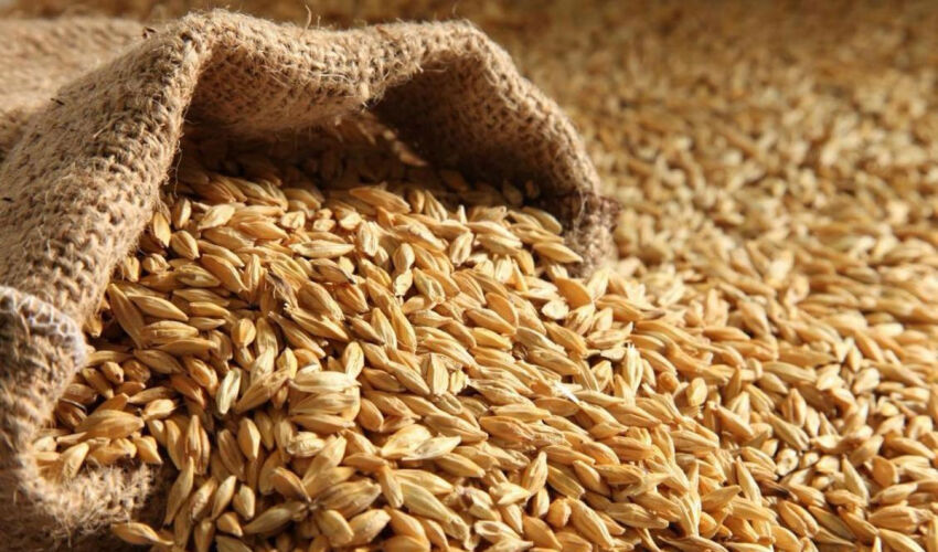 Пшеница рост цен