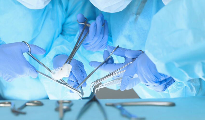 Transplantation will go beyond the capital