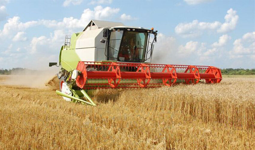 harvest-2026 grain