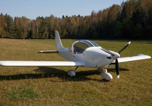 Standards for ultralight airplanes will be reviewed after the sky emergency