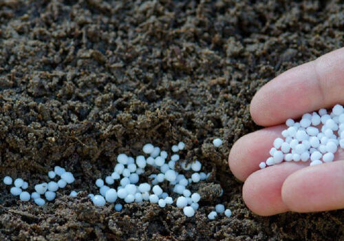 Prețurile îngrășămintelor în Moldova au crescut cu aproximativ 50% Prețurile îngrășămintelor în Moldova au crescut cu aproximativ 50%