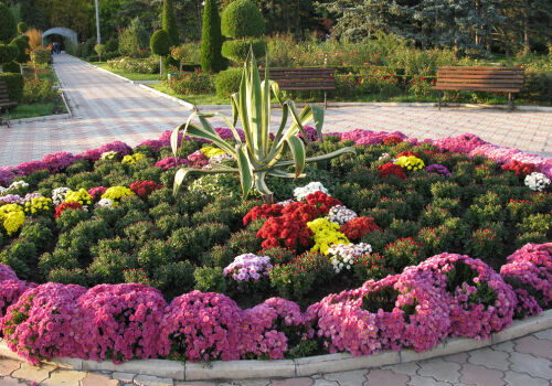 Мэрия инвестирует в парки и цветы Мэрия инвестирует в парки и цветы