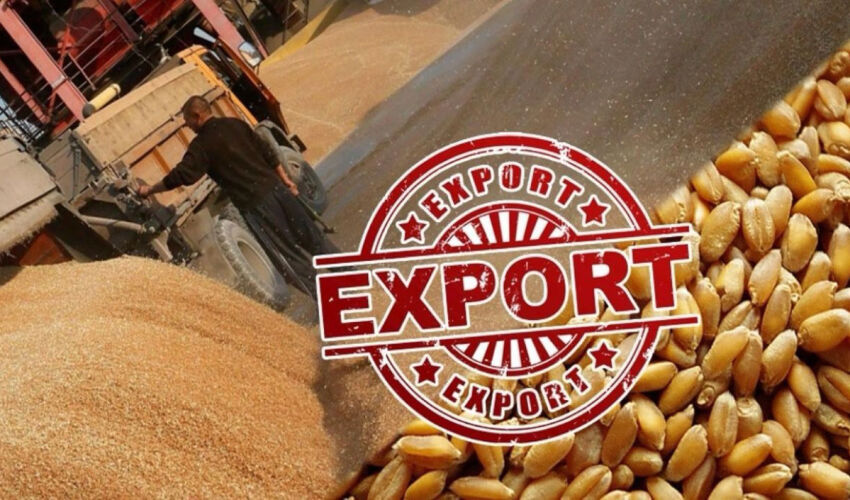Moldovan Grain Exports in June: Volumes, Destinations, and Prices Moldovan Grain Exports in June: Volumes, Destinations, and Prices