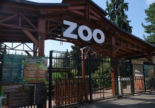 Grădina Zoologică din Chișinău caută furnizori de hrană