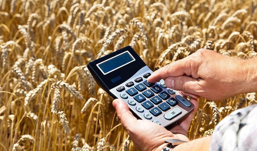 Applications for subsidies in AIPA reached 1.5 billion lei