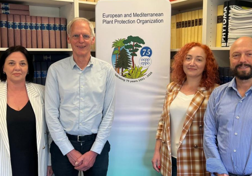 Moldova implementează standardele EPPO privind analiza riscurilor fitosanitare Moldova implementează standardele EPPO privind analiza riscurilor fitosanitare