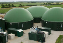 Moldova wants to develop biogas production