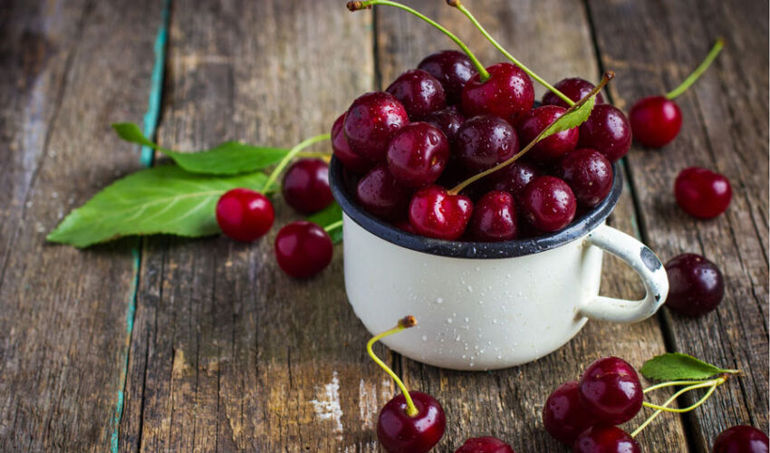 Quality and exports keep cherry prices high Quality and exports keep cherry prices high