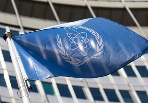 AIEA a raportat pierderea alimentării externe la centrala nucleară Zaporizhzhya