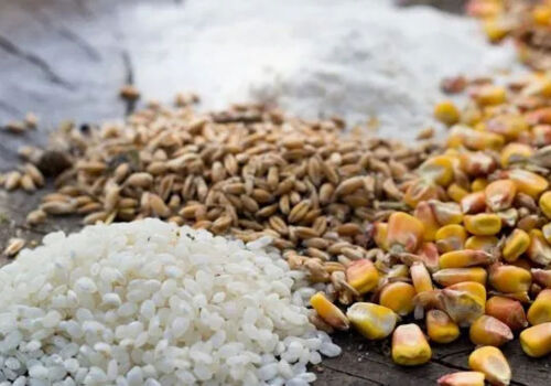 Ucraina va începe noul sezon cu o cantitate uriașă de cereale comercializabile