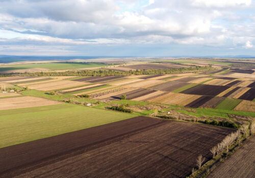 Land in Ukraine has become cheaper, but there is no rush demand for it Land in Ukraine has become cheaper, but there is no rush demand for it