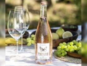 1558_13_papilou_wine_finder
