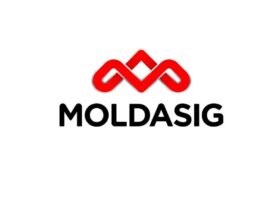 1560_08_moldasig