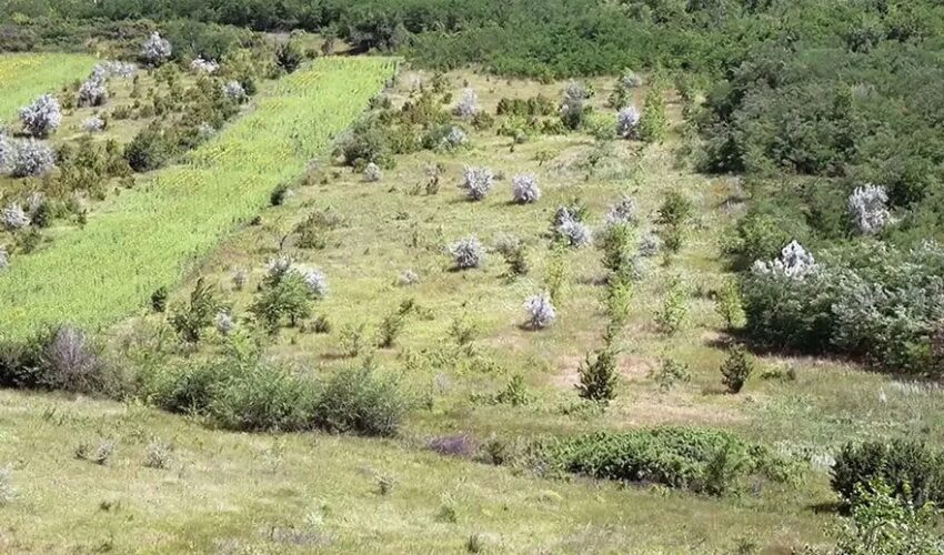 Nu vor mai exista terenuri abandonate Nu vor mai exista terenuri abandonate