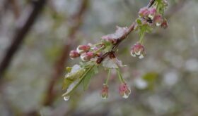1563_825aab484444a1