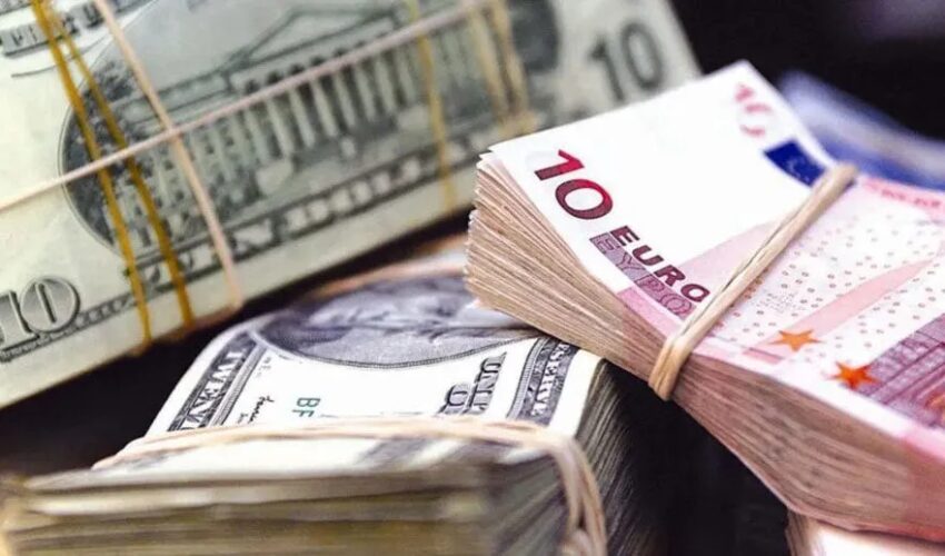 Expert: stability of Moldovan leu in question