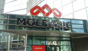 Moldasig