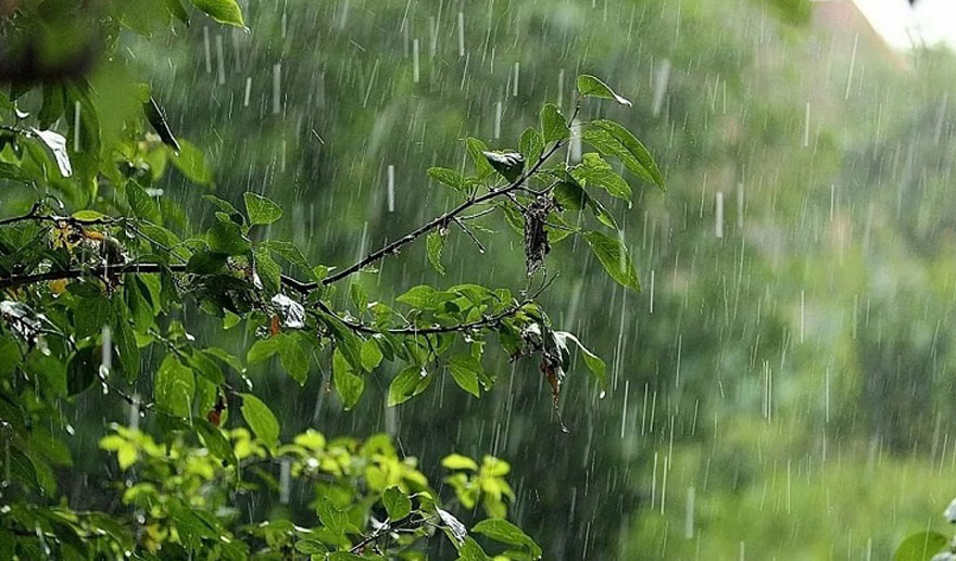 I really need the rain