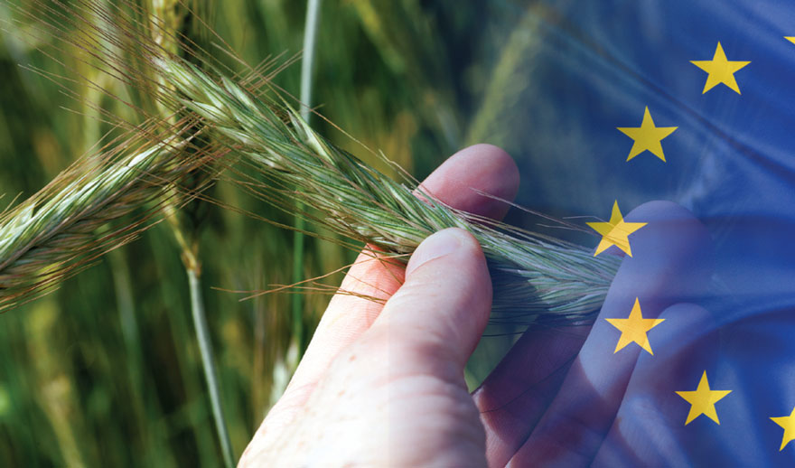 Agricultural industry prepares for EU membership