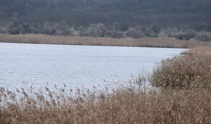 Municipiul Ungheni a primit bunuri imobile de la stat