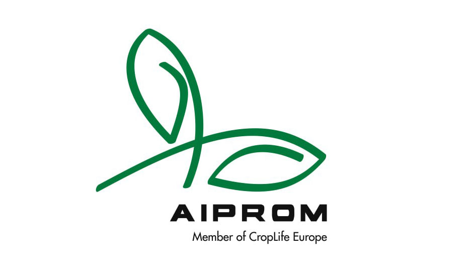 Румынская AIPROM открывает филиал в Молдове