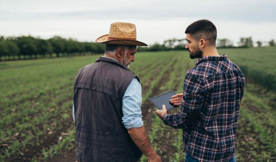 70 de ferme agricole au primit finanțare în cadrul programului de creditare