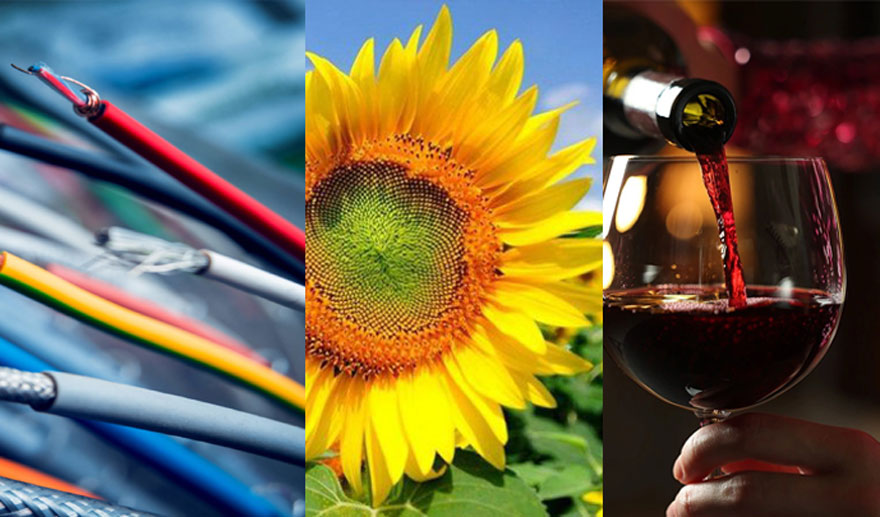 Top 3 mărfuri de export