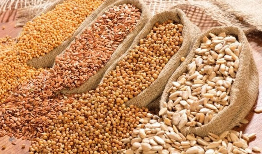Moldovan seeds of fodder crops allowed to be exported to EU countries