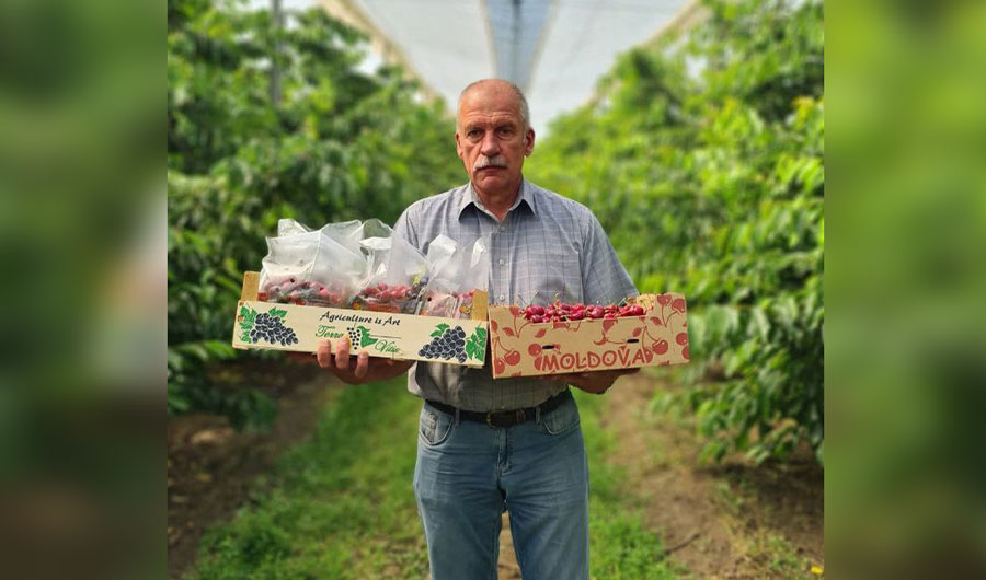 Viticultorii se așteaptă la o recoltă bună și de calitate