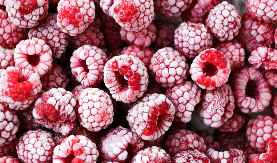 The price of raspberries for freezing does not attract Moldovan farmers