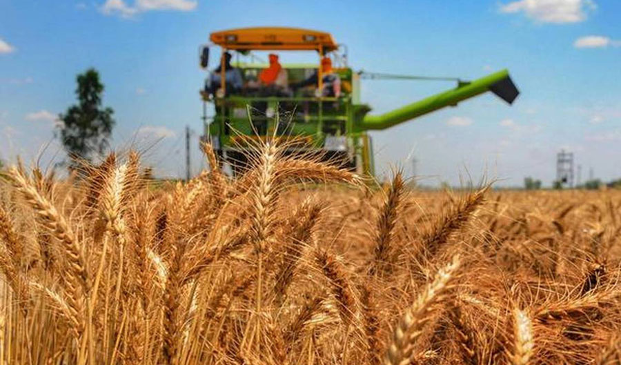 Сырье – основа агропродовольственного экспорта РМ