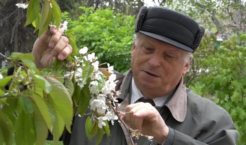 «Экстремизация климата» - опять засуха