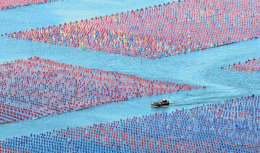 New approaches to financing the oceans