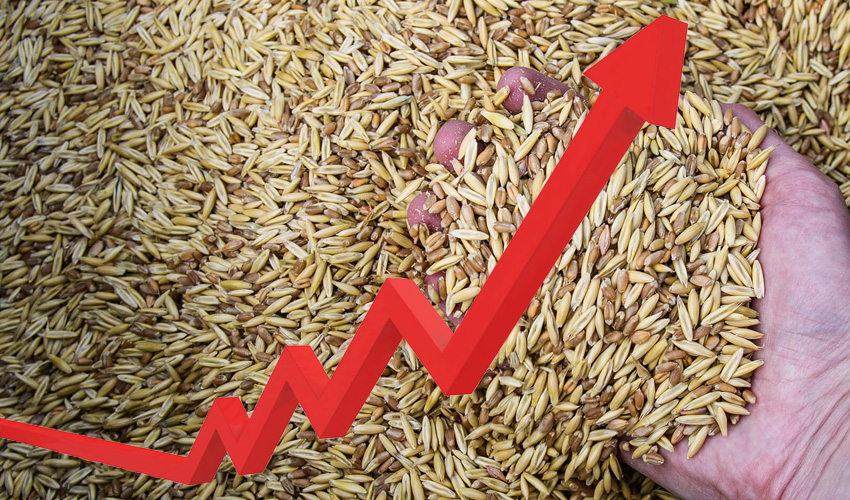Wheat is getting more expensive, regardless of quality