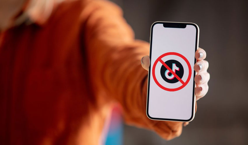 В Молдове заблокируют 443 канала TikTok
