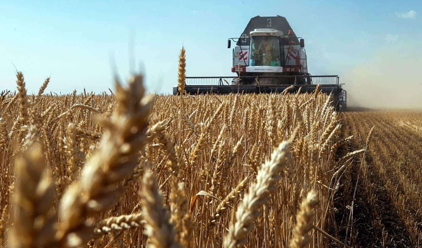 Moldova și Israelul vor cultiva grâu împreună