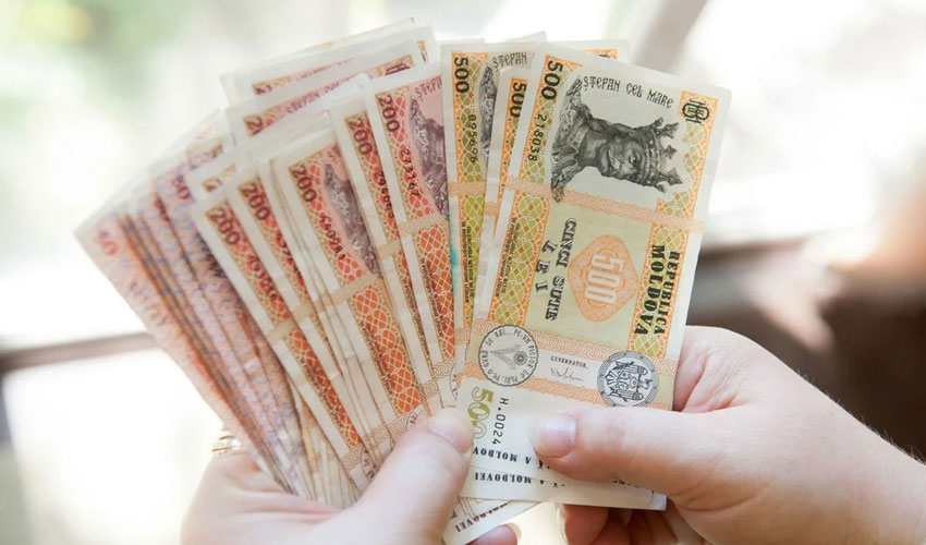 Услуги регистрационных компаний подорожали