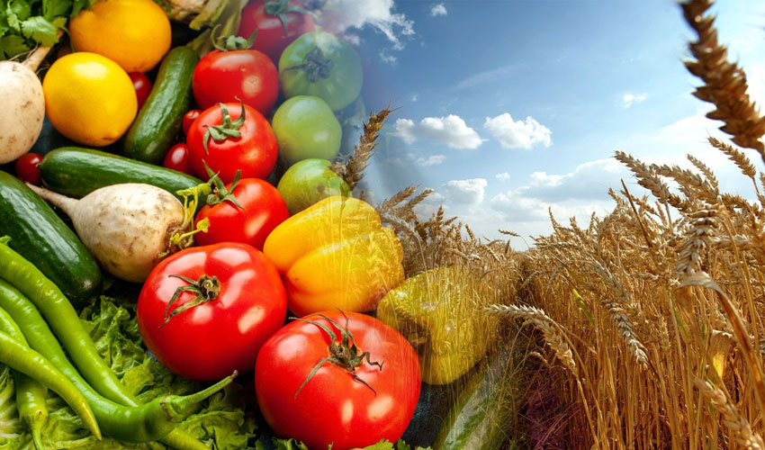 Уровень самообеспеченности Молдовы продуктами неравномерный