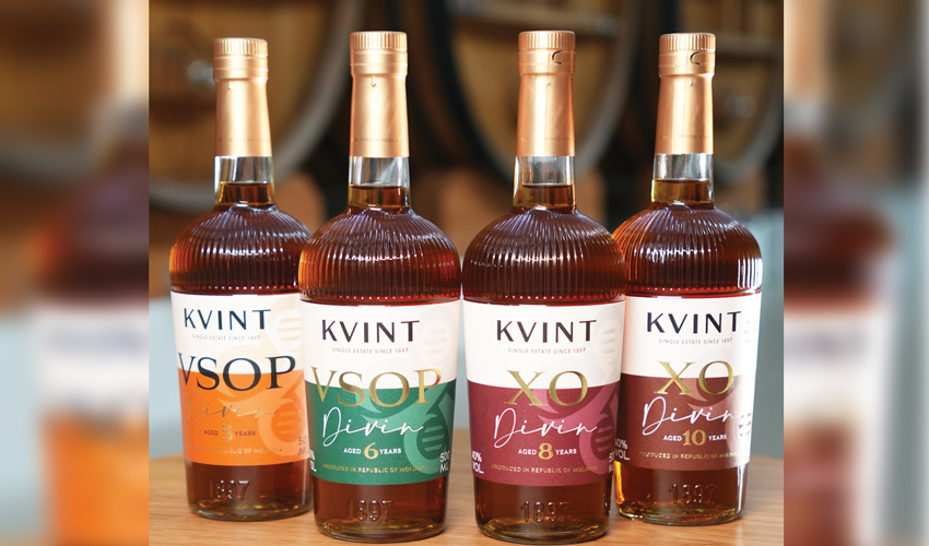 The new image of KVINT – infinity of perfection