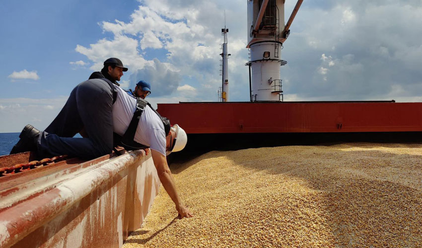 Livrările de produse agricole către Turcia prin porturile românești, parțial blocate
