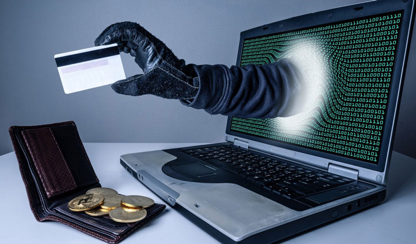 Statul se va ocupa de criminalitatea informatică