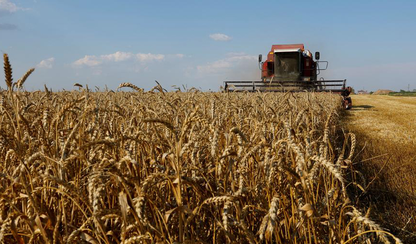 Украина получила новые квоты от ЕС на агропродукцию
